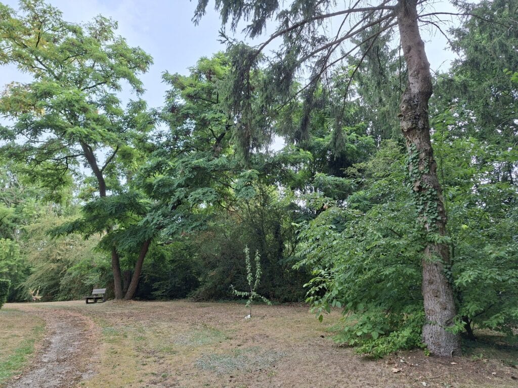 Extérieur in L'Orchidee, Ittre