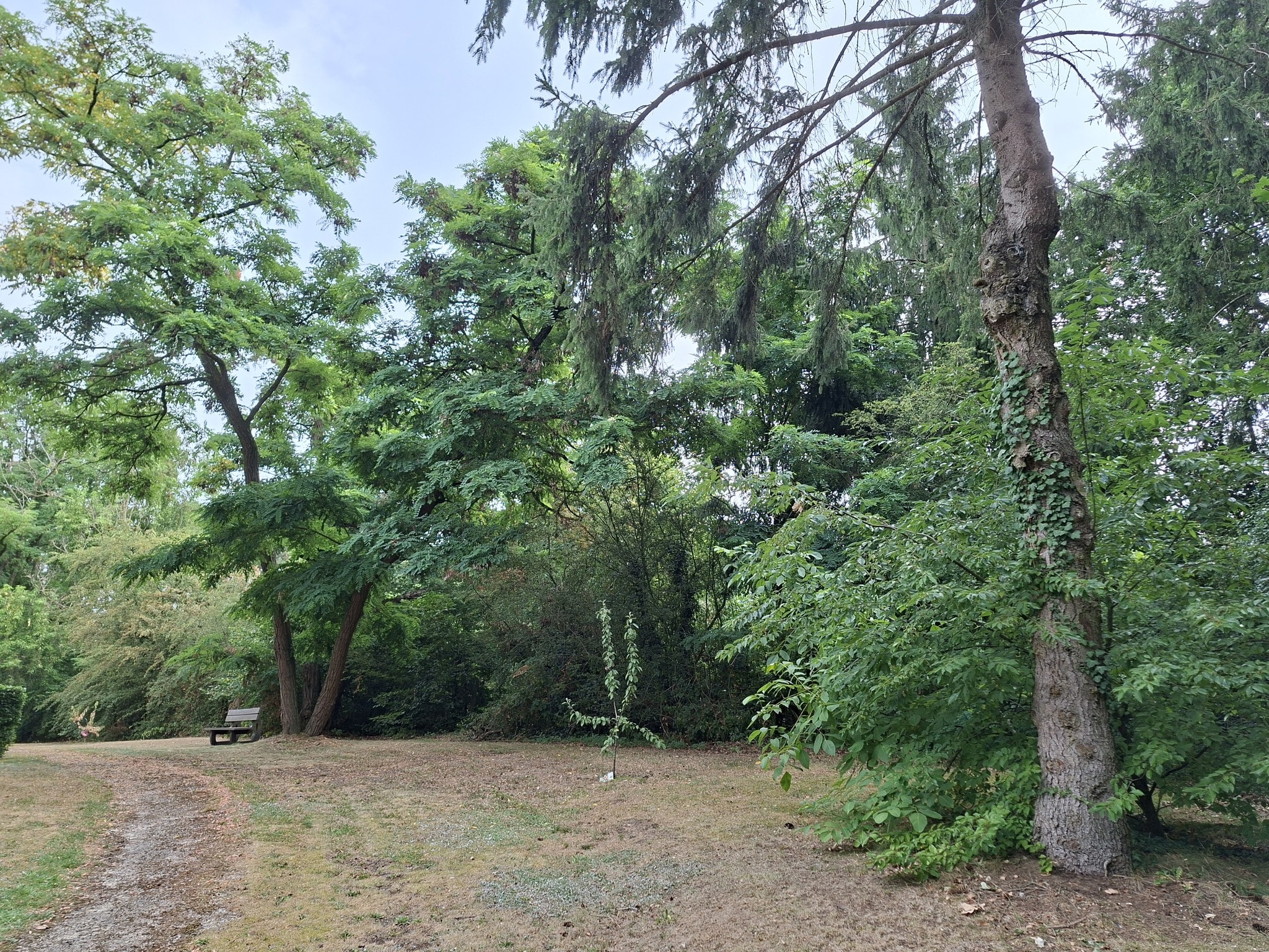 Extérieur in L'Orchidee, Ittre