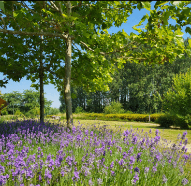 Exterieur in Keymolen, Lennik